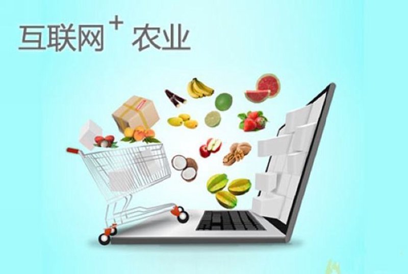 颐品农庄：打造您身边的绿色餐桌
