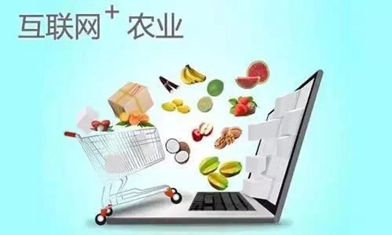 农产品电商：行业现状与未来趋势